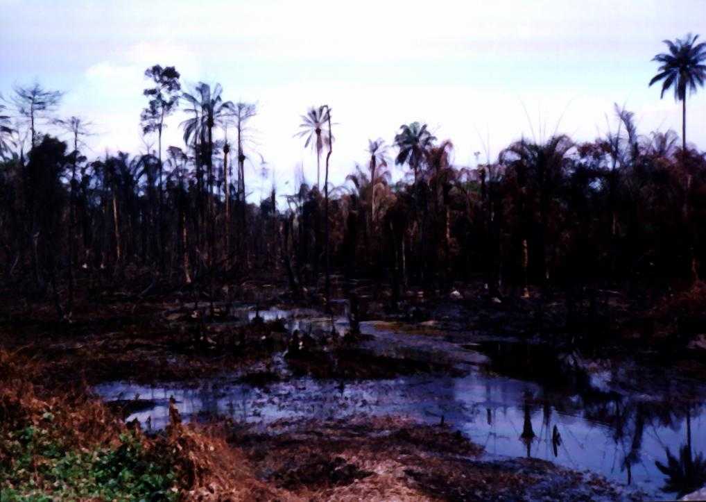 IMAGES FROM ELUME FIRE DISASTER IN URHOBO COUNTRY, NIGERIA'S NIGER DELTA, NOVEMBER 16, 2000: BURNT RIVER & FOREST