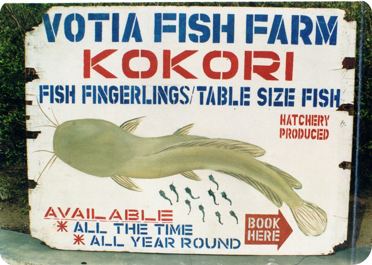 Victoria Oti Akpobome's Votia Fish Farm, Kokori